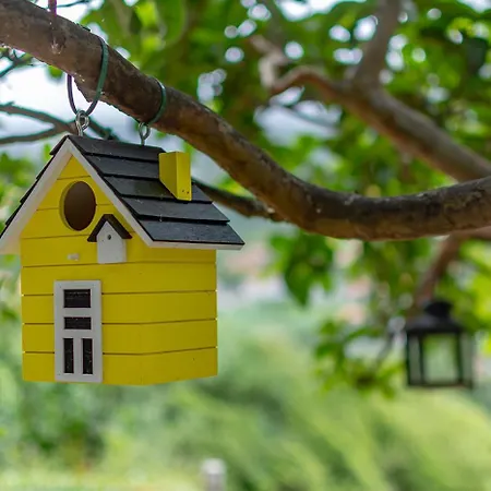The Yellow Nature House Madeira Island 샬레
