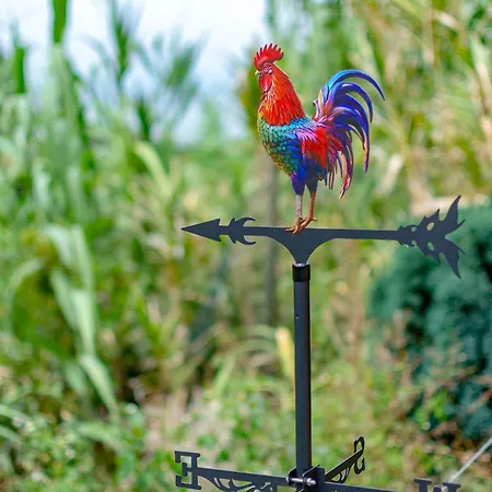 샬레 The Yellow Nature House Madeira Island