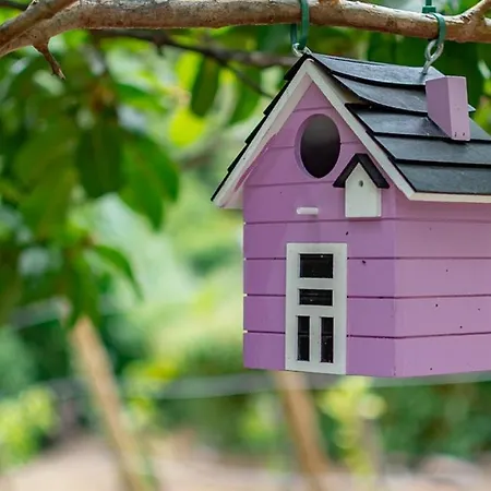 샬레 The Yellow Nature House Madeira Island *