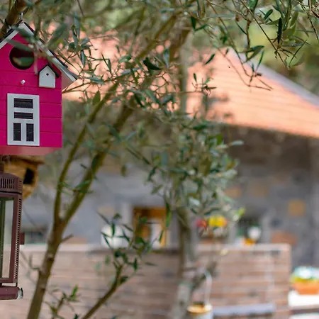 Chalet The Yellow Nature House Madeira Island