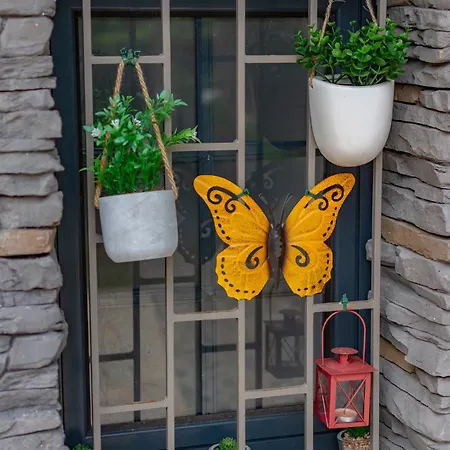 Chalet The Yellow Nature House Madeira Island