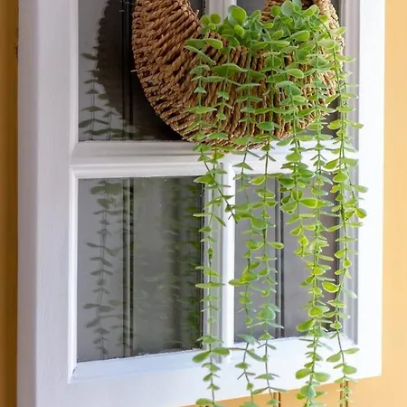 The Yellow Nature House Madeira Island Chalet