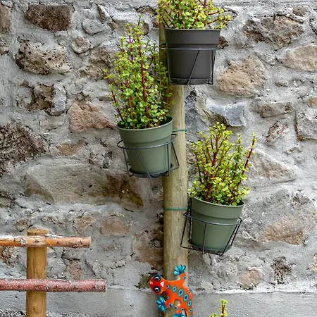 The Yellow Nature House Madeira Island São Vicente