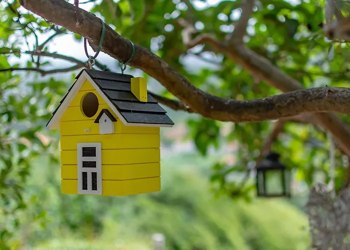 The Yellow Nature House Madeira Island Domek alpejski