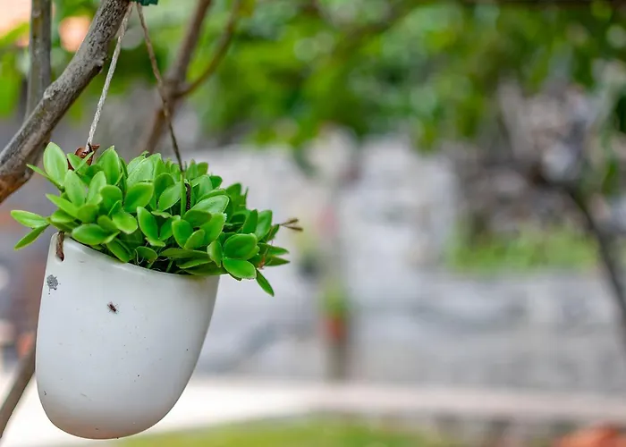 Domek alpejski The Yellow Nature House Madeira Island