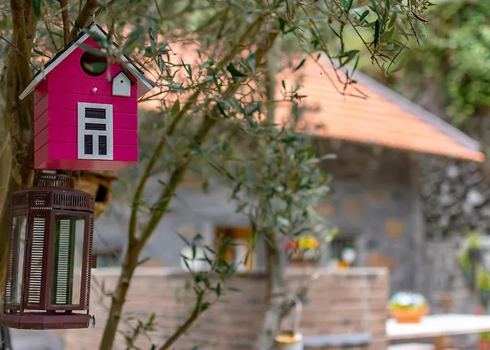 Domek alpejski The Yellow Nature House Madeira Island