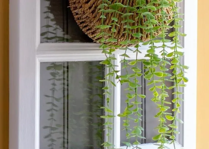 The Yellow Nature House Madeira Island Domek alpejski