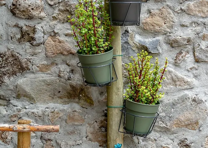 The Yellow Nature House Madeira Island São Vicente
