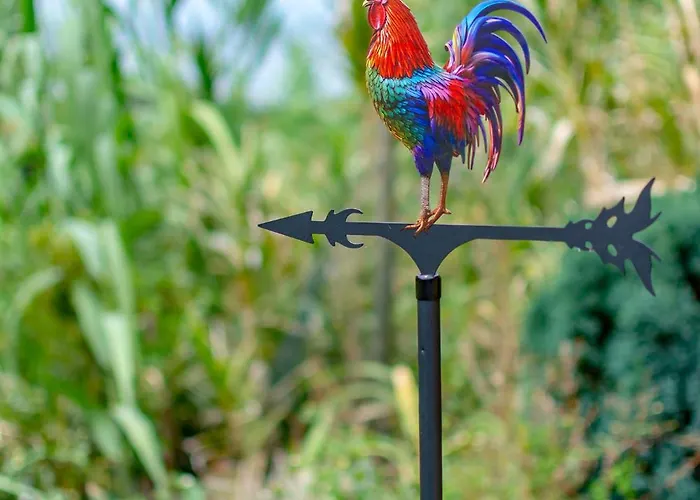 Domek alpejski The Yellow Nature House Madeira Island