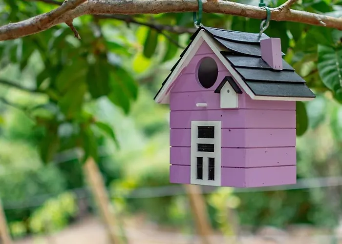 Domek alpejski The Yellow Nature House Madeira Island *